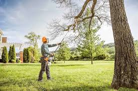 Best Tree Mulching  in Edinburg, IL